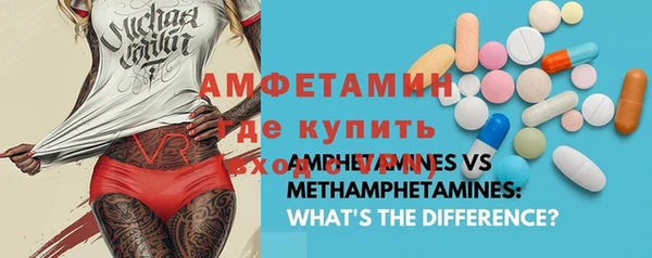 крисы Инта