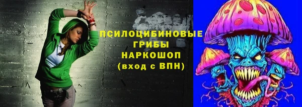 spice Зерноград